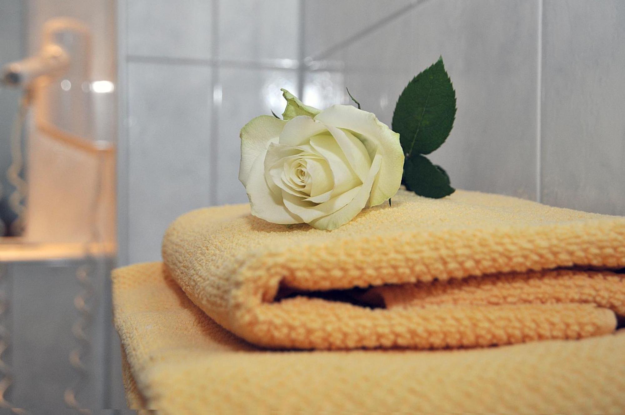 Hotel Friesen Werdau ภายนอก รูปภาพ